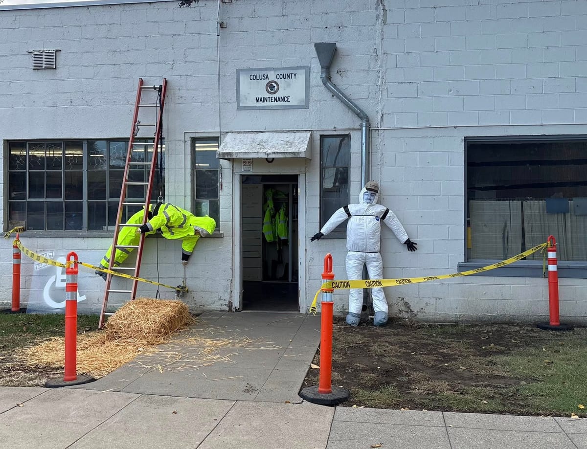‘Jack Skellington’ wins top honors in Colusa Scarecrow Contest